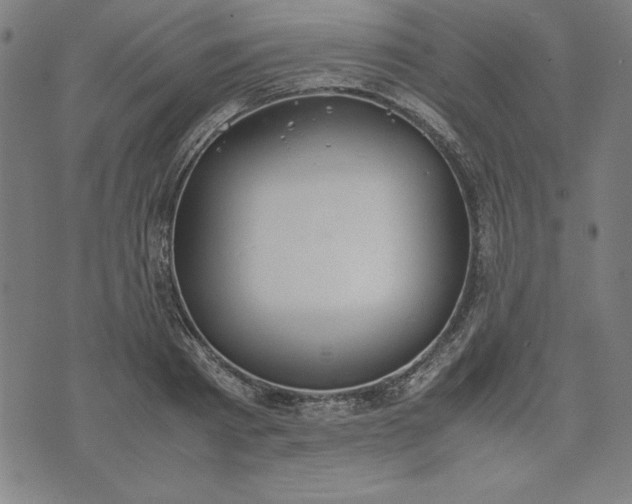 X0000072550793200607281647