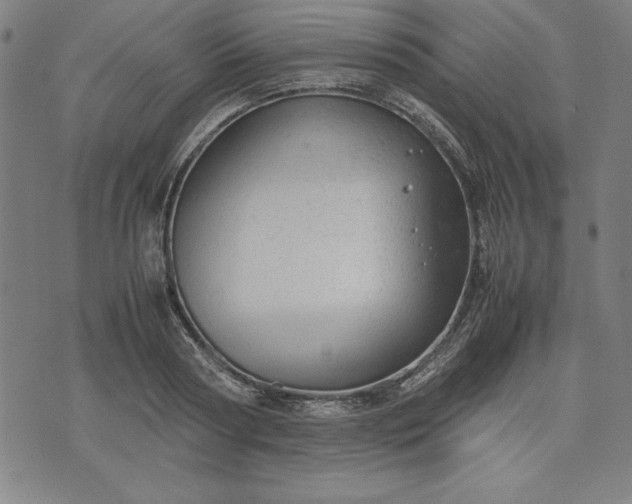 X0000072550794200607281647