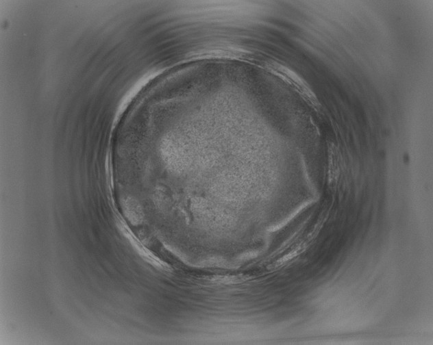 X0000072550796200607281647