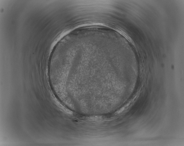 X0000072550797200607281647