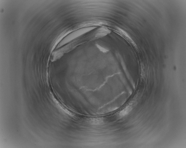 X0000072550802200607281647