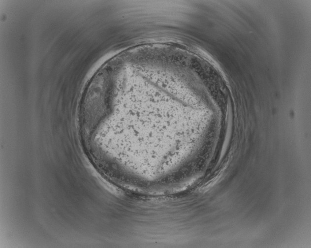 X0000072550803200607281647