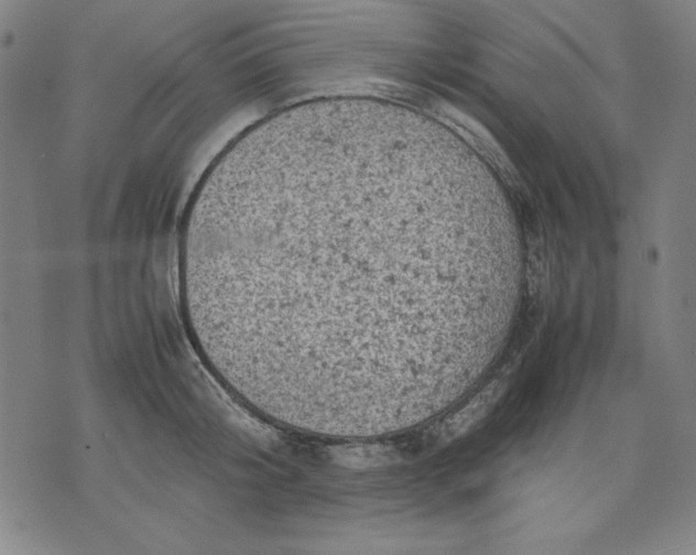 X0000072550804200607281647