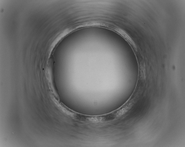 X0000072550805200607281647