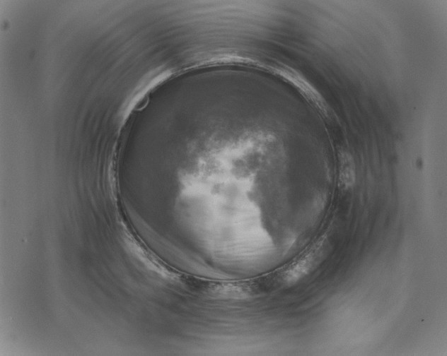 X0000072550806200607281647