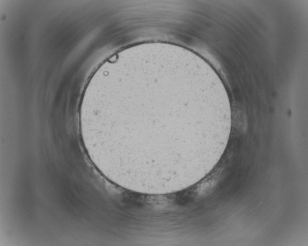 X0000072550807200607281647