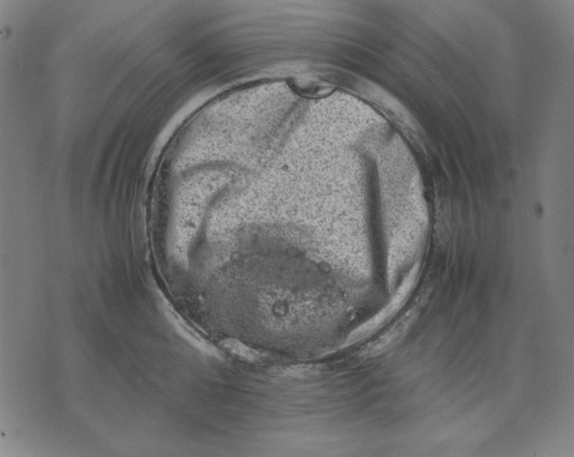 X0000072550808200607281647