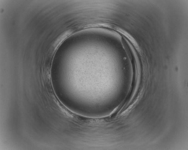 X0000072550809200607281647