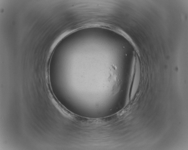 X0000072550811200607281647