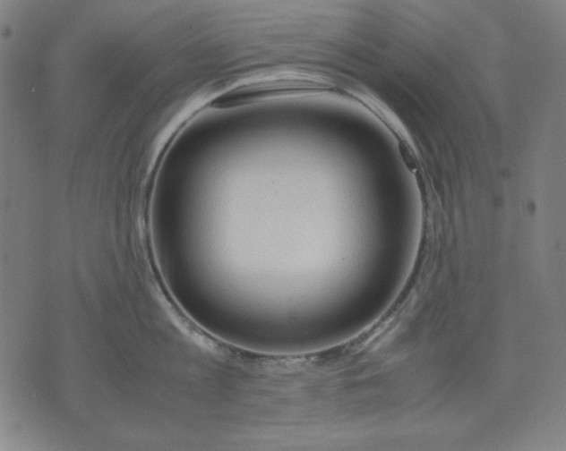 X0000072550813200607281647