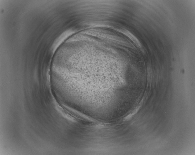 X0000072550814200607281647