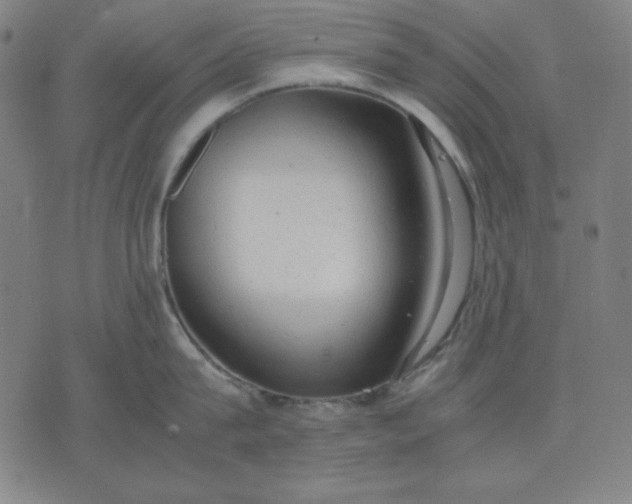 X0000072550815200607281647