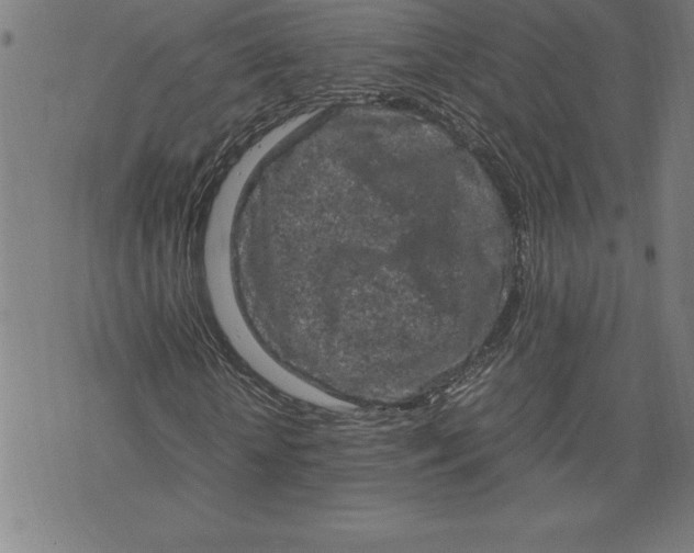 X0000072550818200607281646