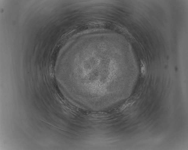 X0000072550819200607281646