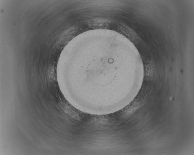 X0000072550820200607281646