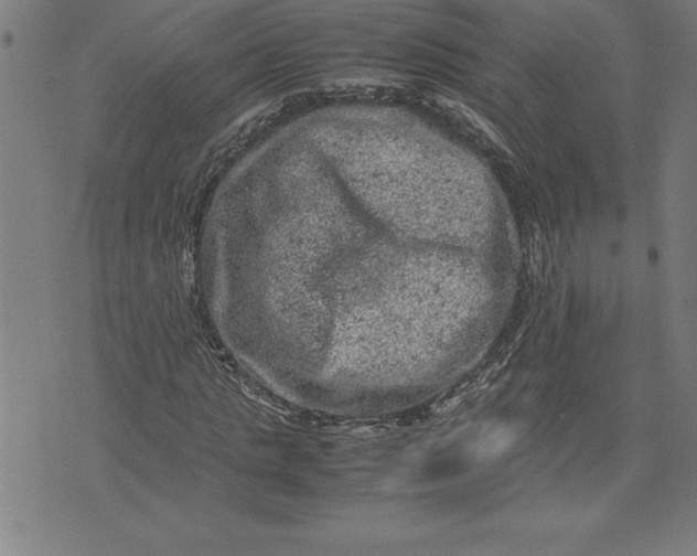 X0000072550821200607281646