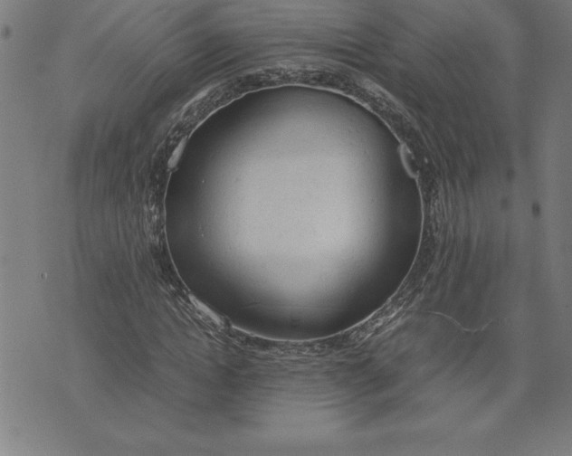 X0000072550822200607281646