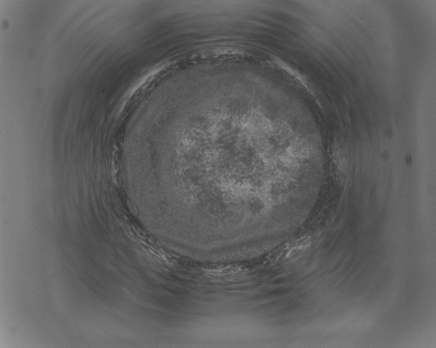 X0000072550823200607281646