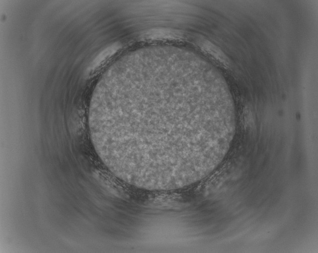 X0000072550824200607281646