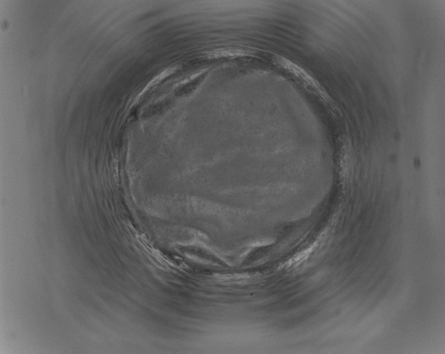 X0000072550825200607281646