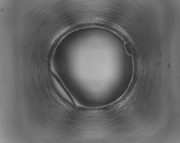 X0000072550826200607281646