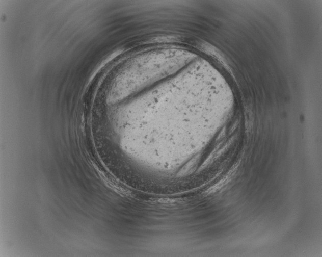 X0000072550827200607281646