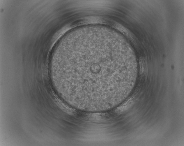 X0000072550828200607281646