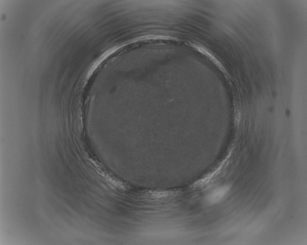 X0000072550829200607281646