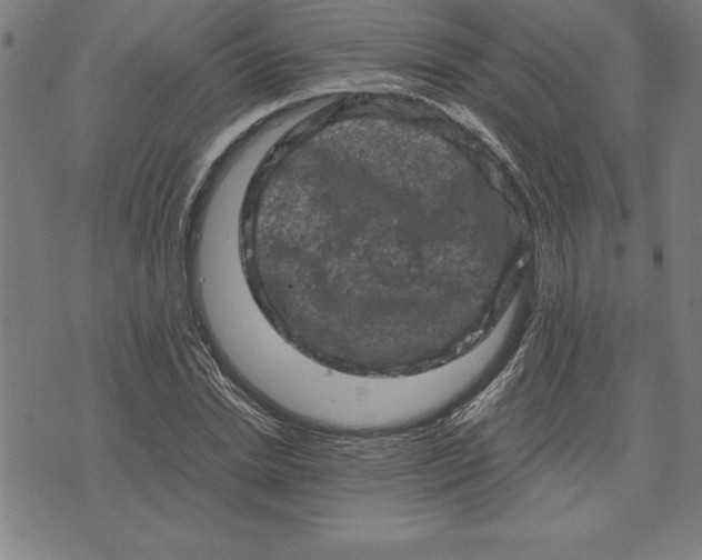 X0000072550830200607281646