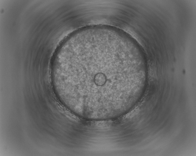 X0000072550832200607281646