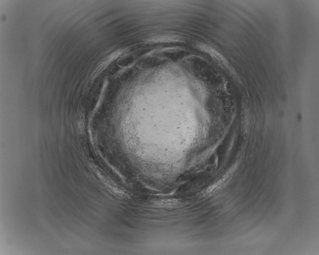 X0000072550833200607281646