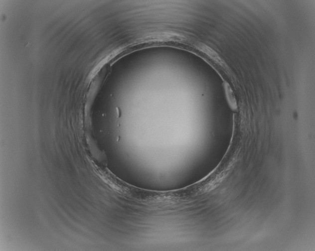 X0000072550834200607281646