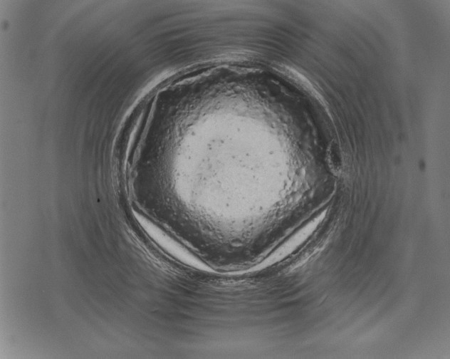 X0000072550835200607281646