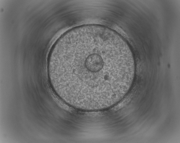 X0000072550836200607281646