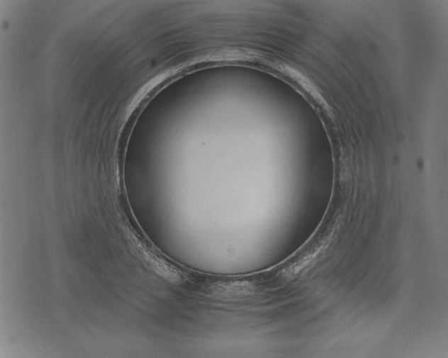 X0000072550837200607281646