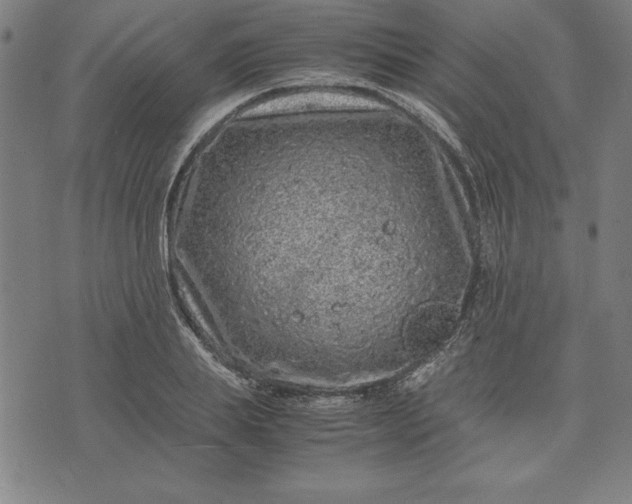 X0000072550839200607281646