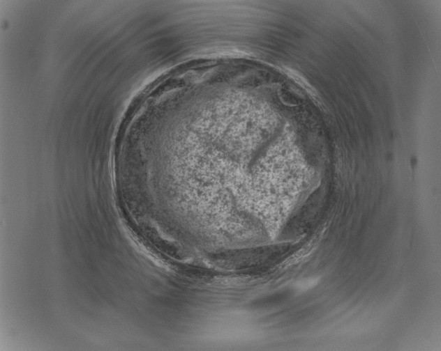 X0000072550840200607281647