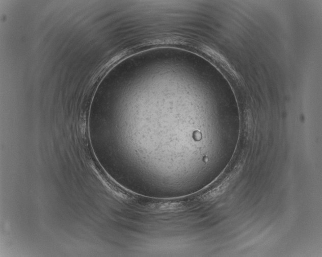 X0000072550841200607281647