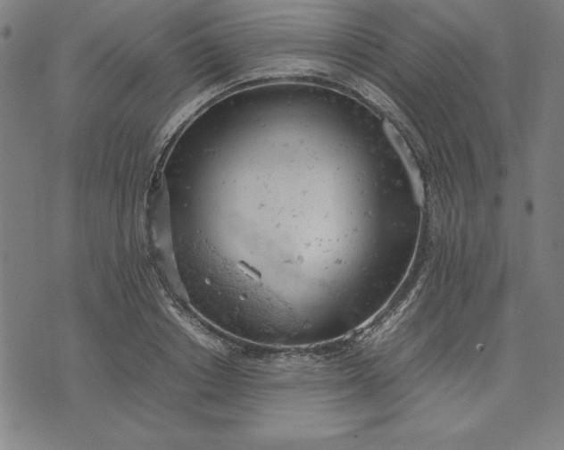 X0000072550842200607281647