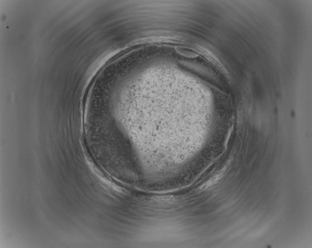 X0000072550844200607281647