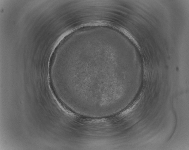 X0000072550845200607281647