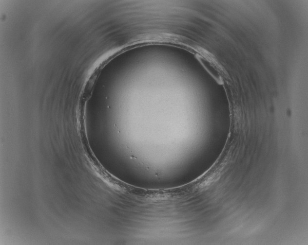 X0000072550846200607281647