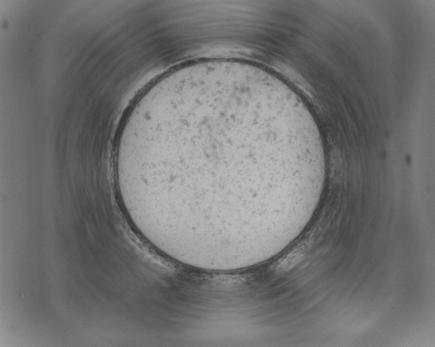 X0000072550848200607281647