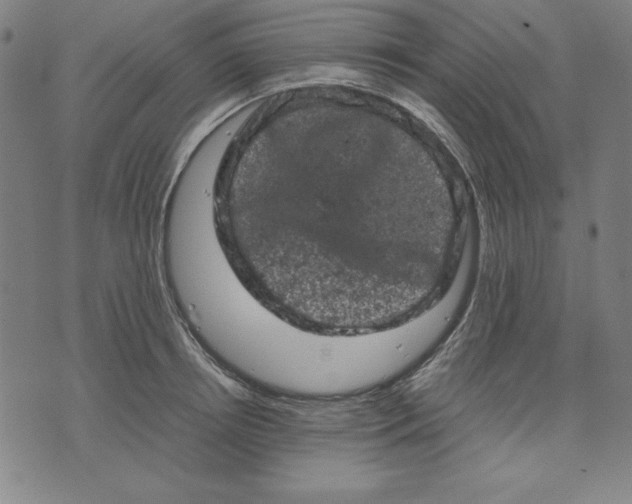 X0000072550850200607281647