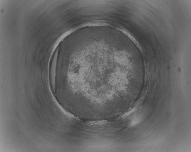 X0000072550853200607281647