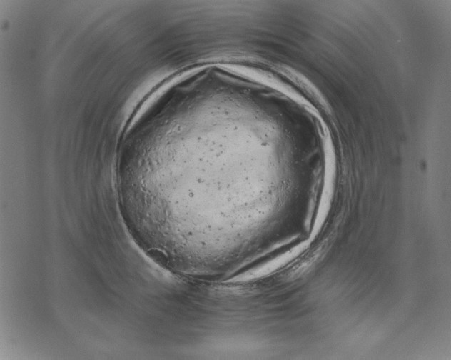 X0000072550855200607281647