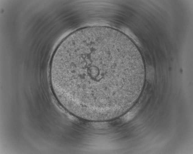 X0000072550856200607281647