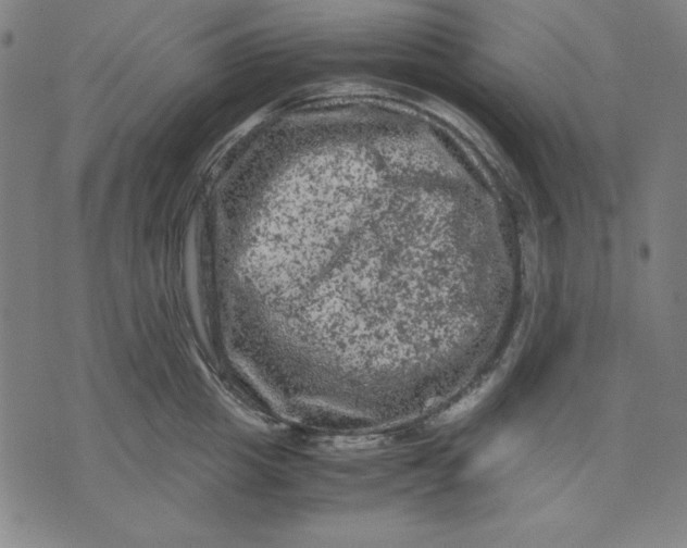 X0000072550857200607281647