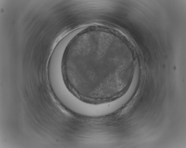 X0000072550858200607281647