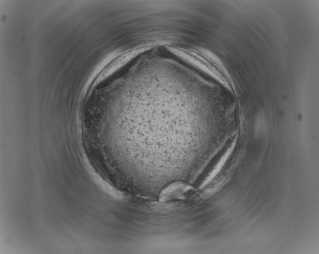 X0000072550859200607281647